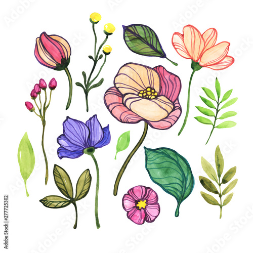 Floral elements for design. Set of flowers and leaves.
