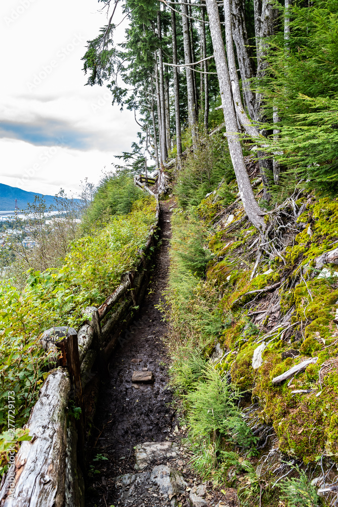 Obraz premium Hike/hiking trail uphill through mountain with wooden fencing for safety on the Rainbird Trail in Ketchikan, Alaska. Tall trees and lush green foliage along the scenic path; blue sky in background.