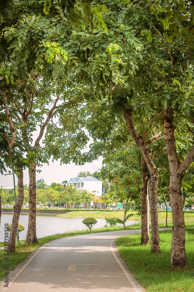 Sign bicycle and walking path in parks