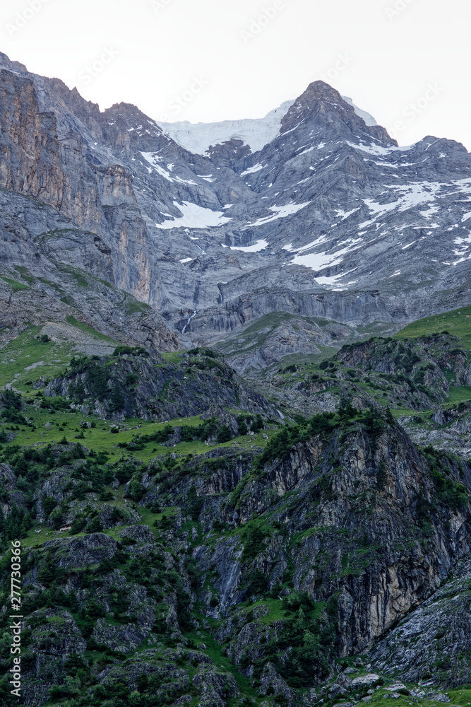 Obraz premium Dans les Alpes Suisses