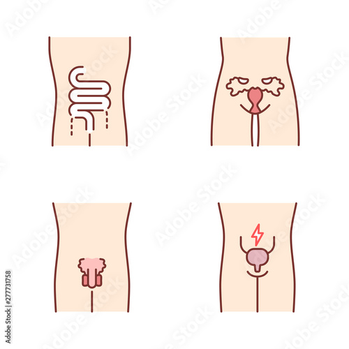 Ill human organs color icons set. Sore intestines and urinary bladder. Unhealthy women and men reproductive systems. Infertility. Sick internal body parts. Isolated vector illustrations
