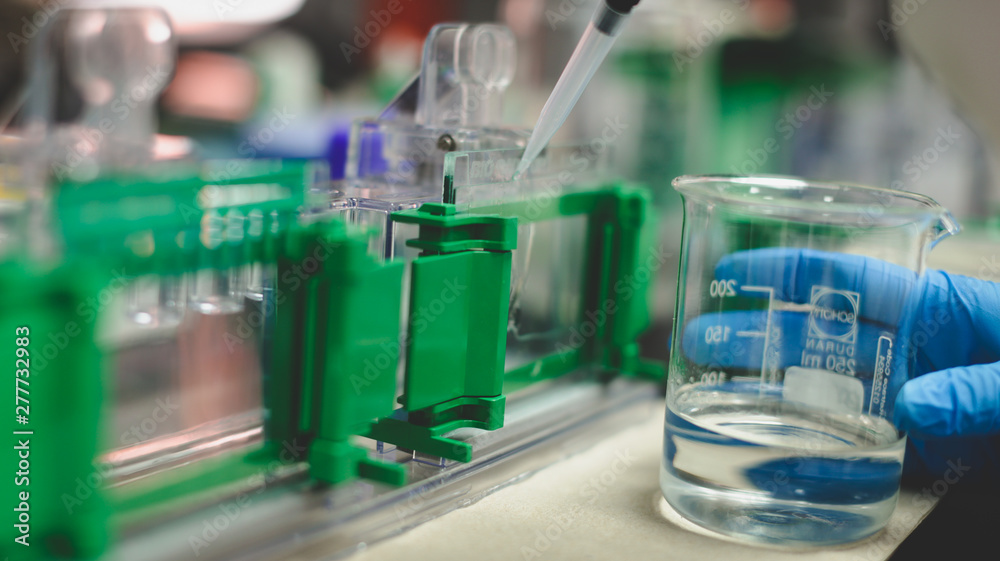 scientist in laboratory scientist in laboratory