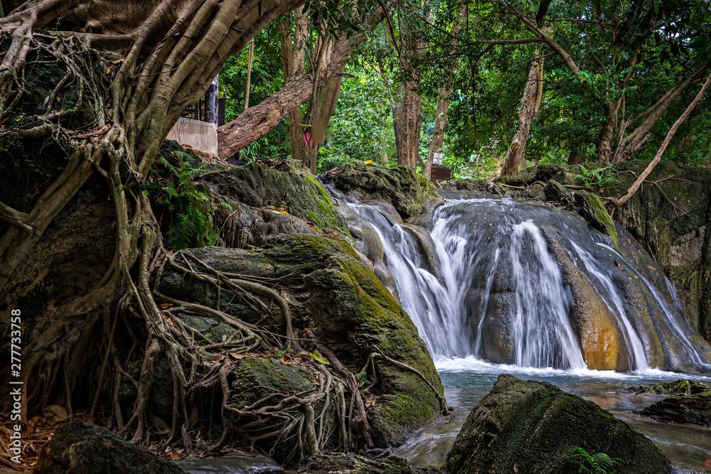 Fototapeta premium Waterfalls in the forest are cool, refreshing, beautiful environment.