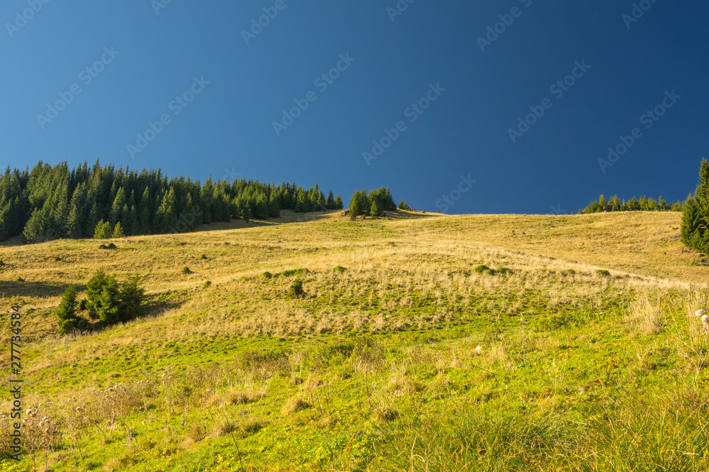 Mountain Landscape - Transilvania, Romania, Freedom, Hiking. Mountain Landscape - Transilvania, Romania, Freedom, Hiking.