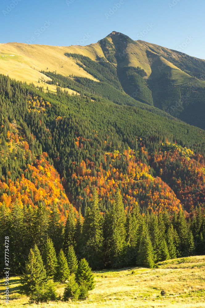 Obraz premium Mountain Landscape - Transilvania, Romania, Freedom, Hiking.