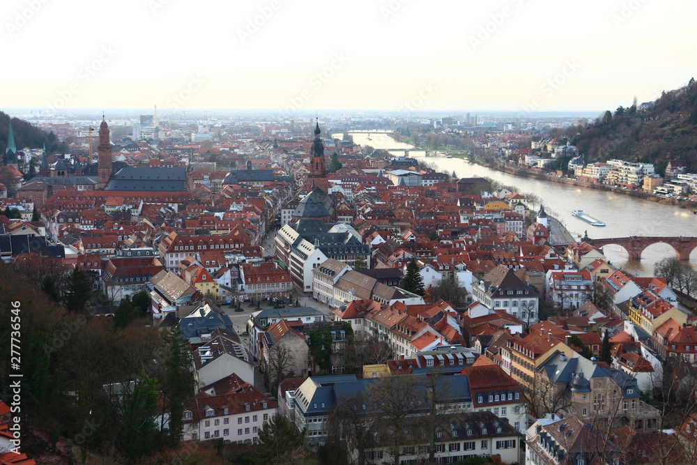 panoramic view of Heidelberg in winter