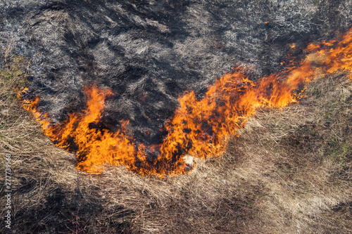 Aerial view of the texture of burning dry grass. Disaster in the forest. Fires in the summer. Bright flames of forest fire. Ecology. Environmental Protection. Burnt land. Drone. Copyspace