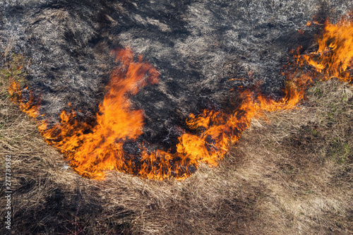 Aerial view of the texture of burning dry grass. Disaster in the forest. Fires in the summer. Bright flames of forest fire. Ecology. Environmental Protection. Burnt land. Drone. Copyspace