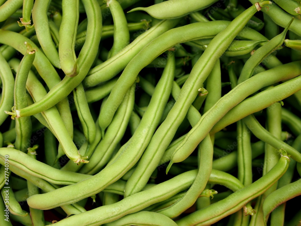 Pods of green asparagus beans as background Pods of green asparagus beans as background
