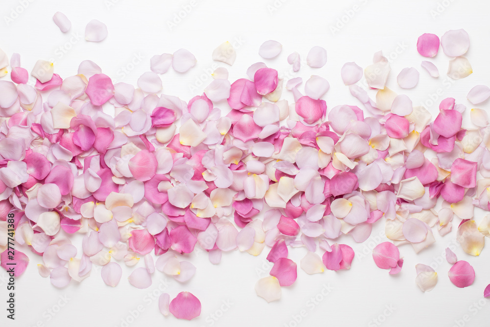 Pink rose flowers petals on white background. Flat lay, top view, copy space. - obrazy, fototapety, plakaty 