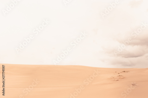 Desert in Sand Dunes 