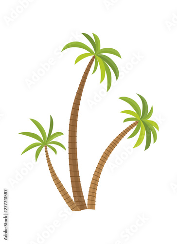 Vector illustration palm tree isolated on white background. Coconut tree. Palm tree. Tourism  travel symbol  sign.