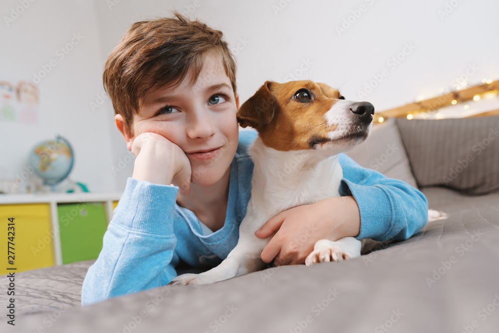 Portrait of a happy boy and his dog breed Jack Russell Terrier, who sit and cuddle on a gray bedspread over the bed and affectionately looking at his owner against the bokeh background of bright light - obrazy, fototapety, plakaty 