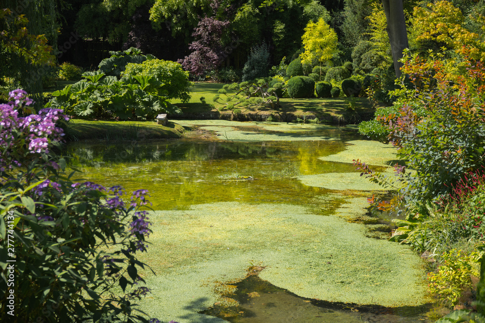 Jardin japonais Jardin japonais