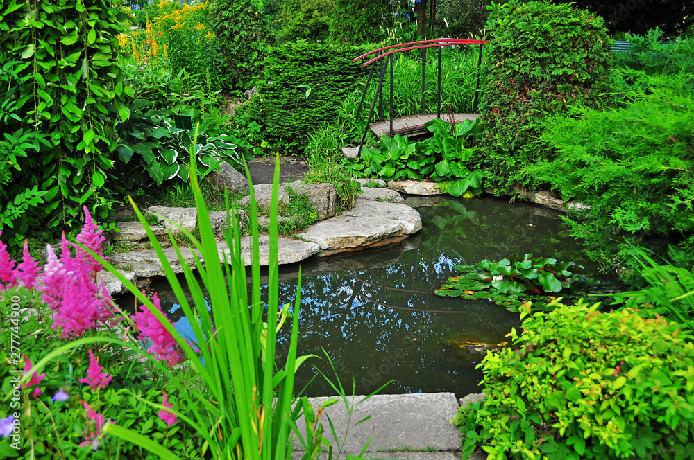 A cozy garden with a decorative lake and a bridge in summer. A cozy garden with a decorative lake and a bridge in summer.
