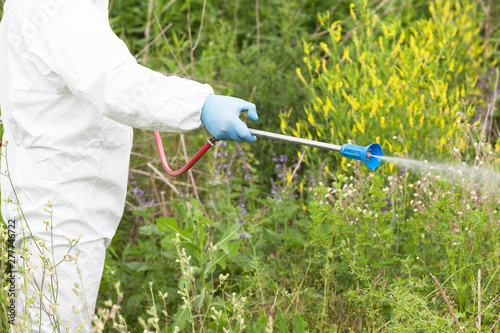 Man in protective workwear spraying herbicide on ragweed