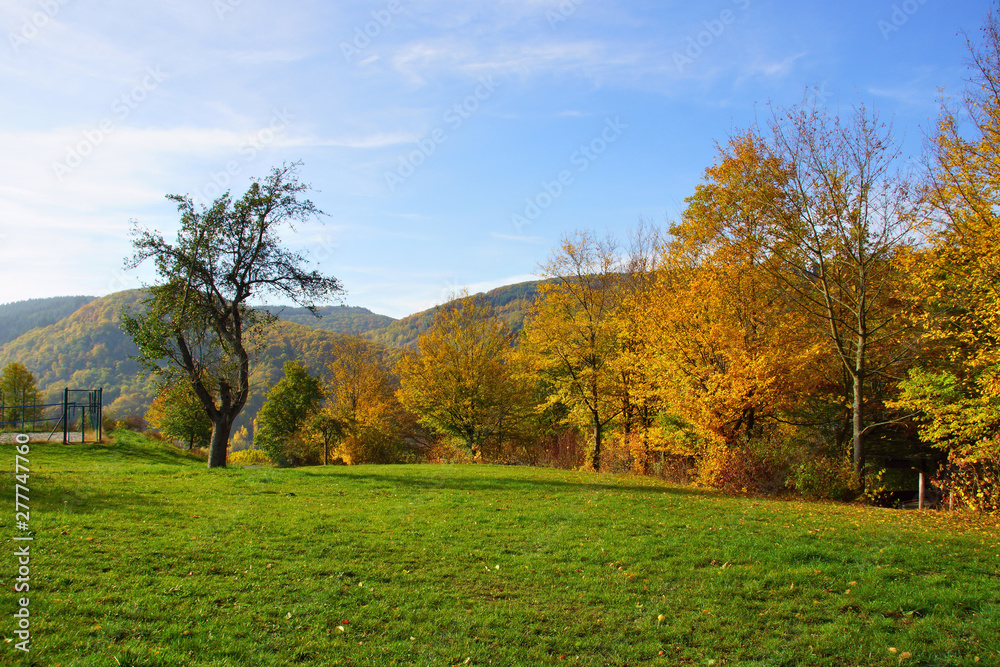 herbstlich gefärbte Bäume an einer Wiese bei Burg an der Mosel