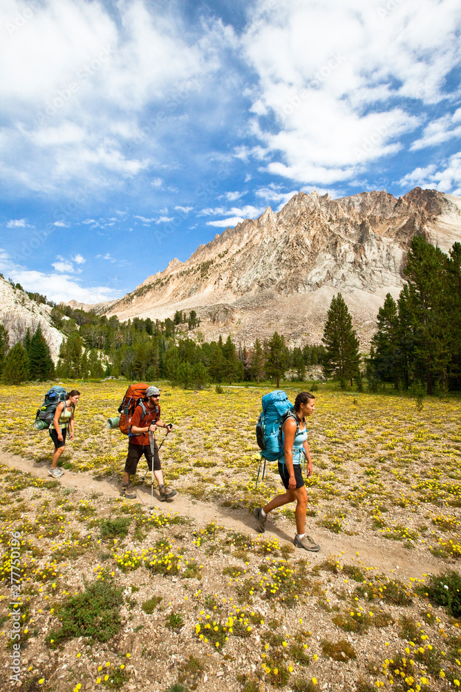 Three backpackers hike through a flower-laden meadow near the 11.800+ foot Castle Peak in the White Cloud Mountains in Idaho. Three backpackers hike through a flower-laden meadow near the 11.800+ foot Castle Peak in the White Cloud Mountains in Idaho.