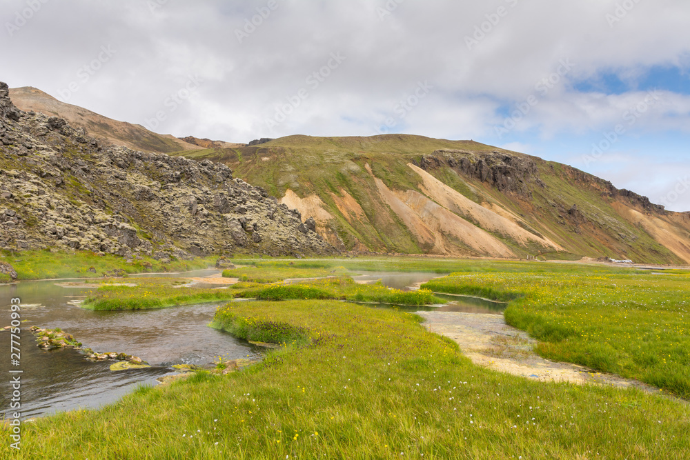 Landmannalaugar, Iceland: view on the area where the Laugavegur hike starts, showing hotsprigs, grass and volcanic landscape