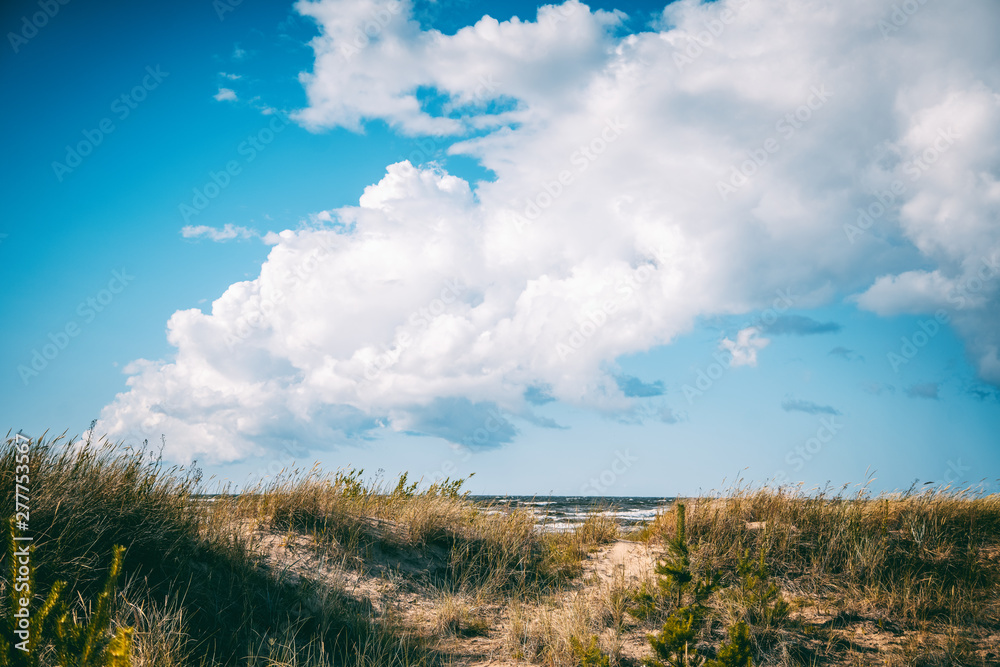 Beautiful seascape, spikelets on the background of a sandy beach sky with clouds and cold sea, Baltic Sea