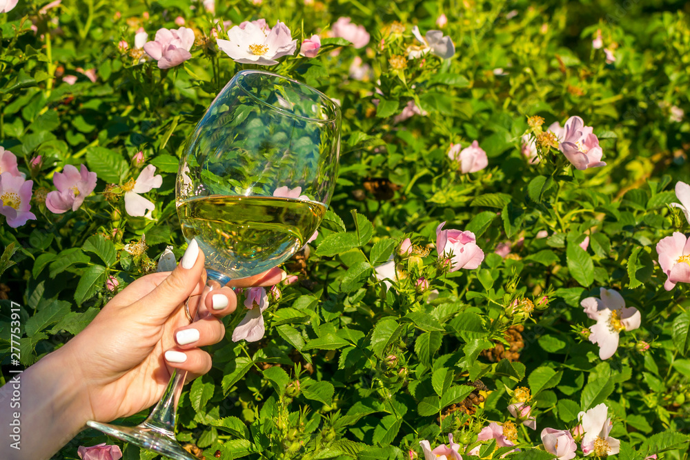 Wine glass in nature