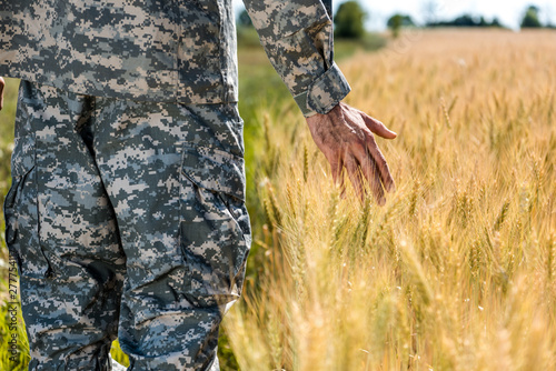 selective focus of soldier touching wheat in golden field