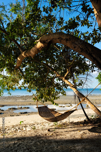 Wicker unoccupied hammock hanging in shadow under bent tree on sandy seashore photo