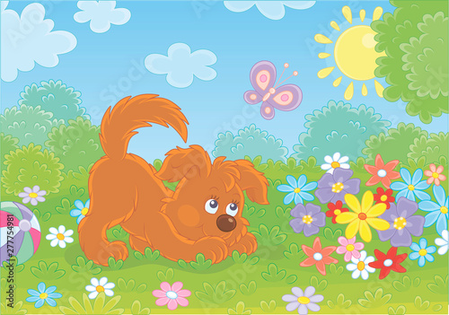 Funny small playful puppy playing with a butterfly among colorful flowers on green grass of a garden on a sunny summer day, vector illustration in a cartoon style