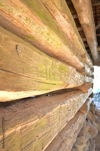 texture of wood