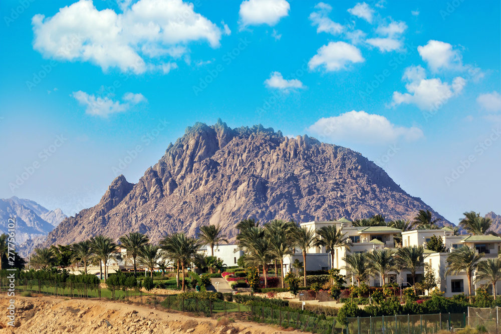 View on egyptian sity near Sinai