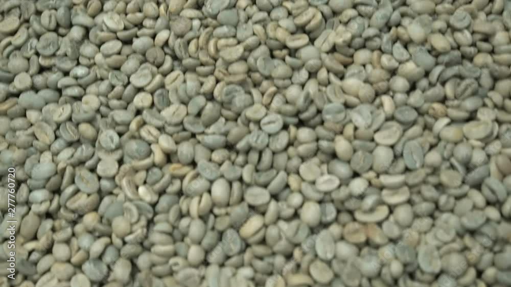 Green beans of arabica coffee close-up. The process of producing organic coffee. A pile of coffee beans. Coffee is drying Green beans of arabica coffee close-up. The process of producing organic coffee. A pile of coffee beans. Coffee is drying