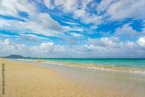 Tropical beach with turquoise waters on a sunny day with dynamic scattered white clouds above © Veronika Gaudet
