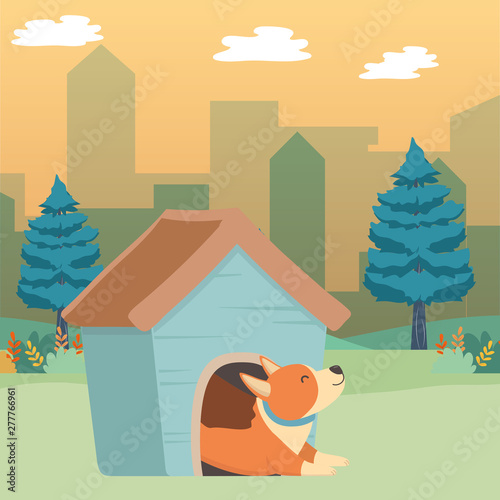 Dog cartoon design vector illustrator