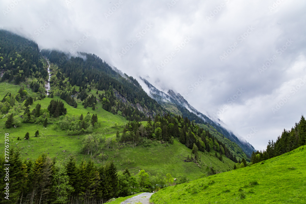 ein kleiner Wanderweg in den Bergen in Österreich, im Hintergrund die Berge
