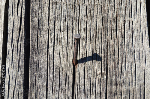 Old nail in wooden board background. Close-up