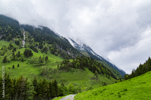 Fototapeta Naklejka Na Ścianę i Meble -  ein kleiner Wanderweg in den Bergen in Österreich, im Hintergrund die Berge