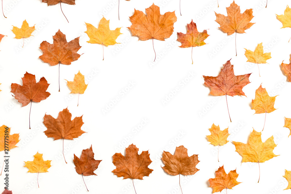 Frame made from dry maple leaves on white background Frame made from dry maple leaves on white background