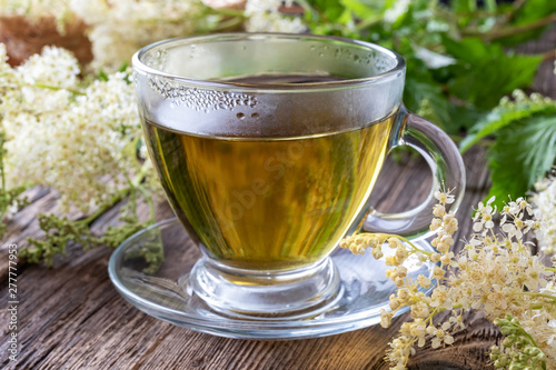 A cup of herbal tea with fresh meadowsweet flowers