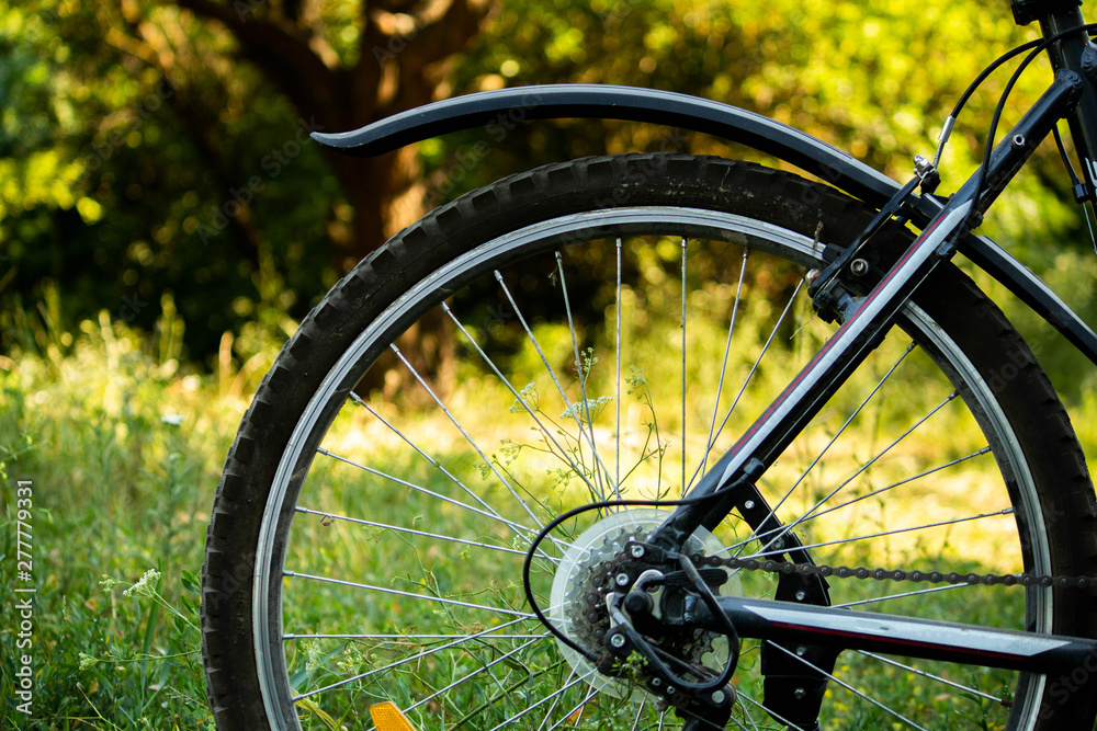 Fototapeta premium back wheel of bicycle, sport technic, action is life, green nature