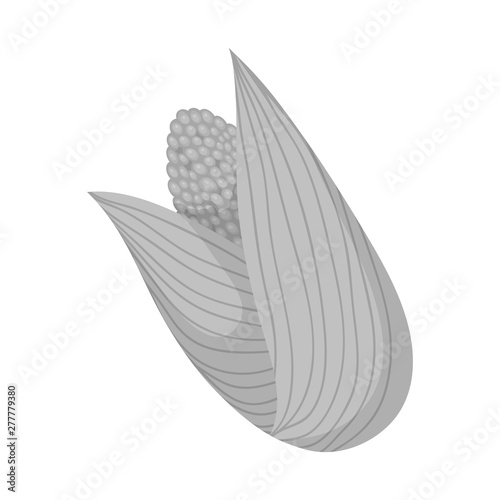 Vector illustration of cob and corn logo. Collection of cob and sweetcorn vector icon for stock.