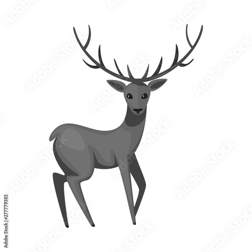 Vector illustration of moose and animal sign. Set of moose and antler stock vector illustration.