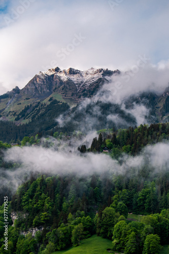 Beautiful Switzerland Nature.