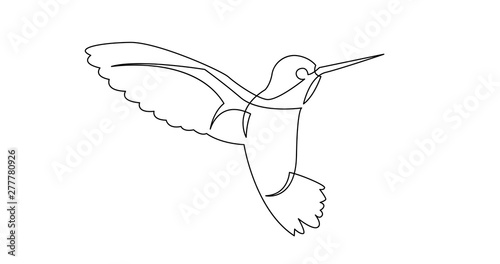continuous line drawing of beautiful colibri birg flying