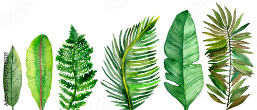 Watercolor hand painted nature collection with different green tropical leaves set isolated on the white background