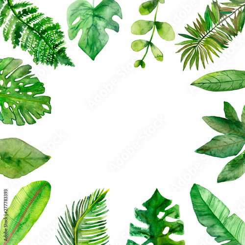 Watercolor frame of tropical green branches and leaves isolated on white background. Flower pattern for beautiful wedding invitation design, greeting cards.