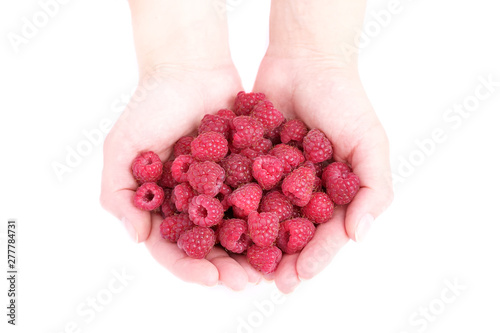 Female hand holding a raspberry. Red raspberry in hand on white isolated background