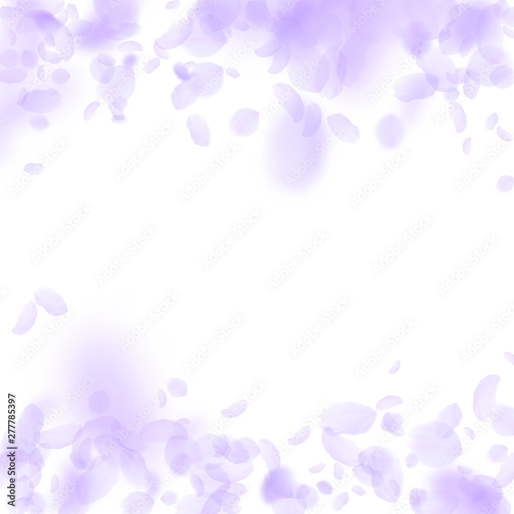 Violet flower petals falling down. Grand romantic Violet flower petals falling down. Grand romantic