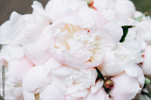 Close-up image of a beautiful and stylish wedding bouquet of white and pink peonies. Summer floral composition.