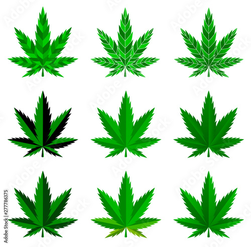 Cannabis leaf marijuana vector colorful illustration ganja 