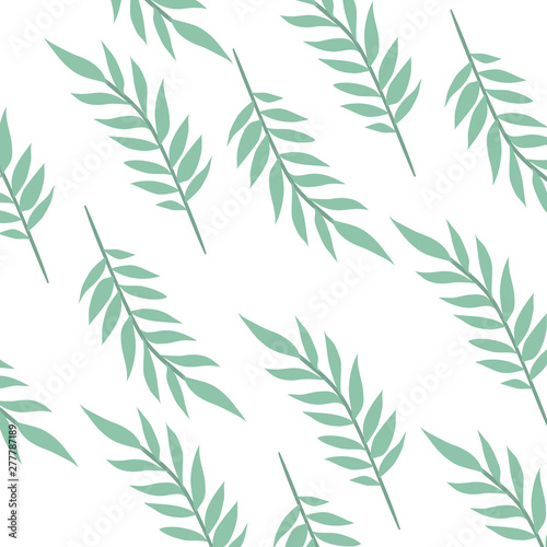 pattern of branch with leaf in white background